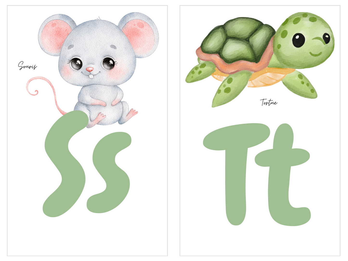 Cartes alphabet - Gratuit