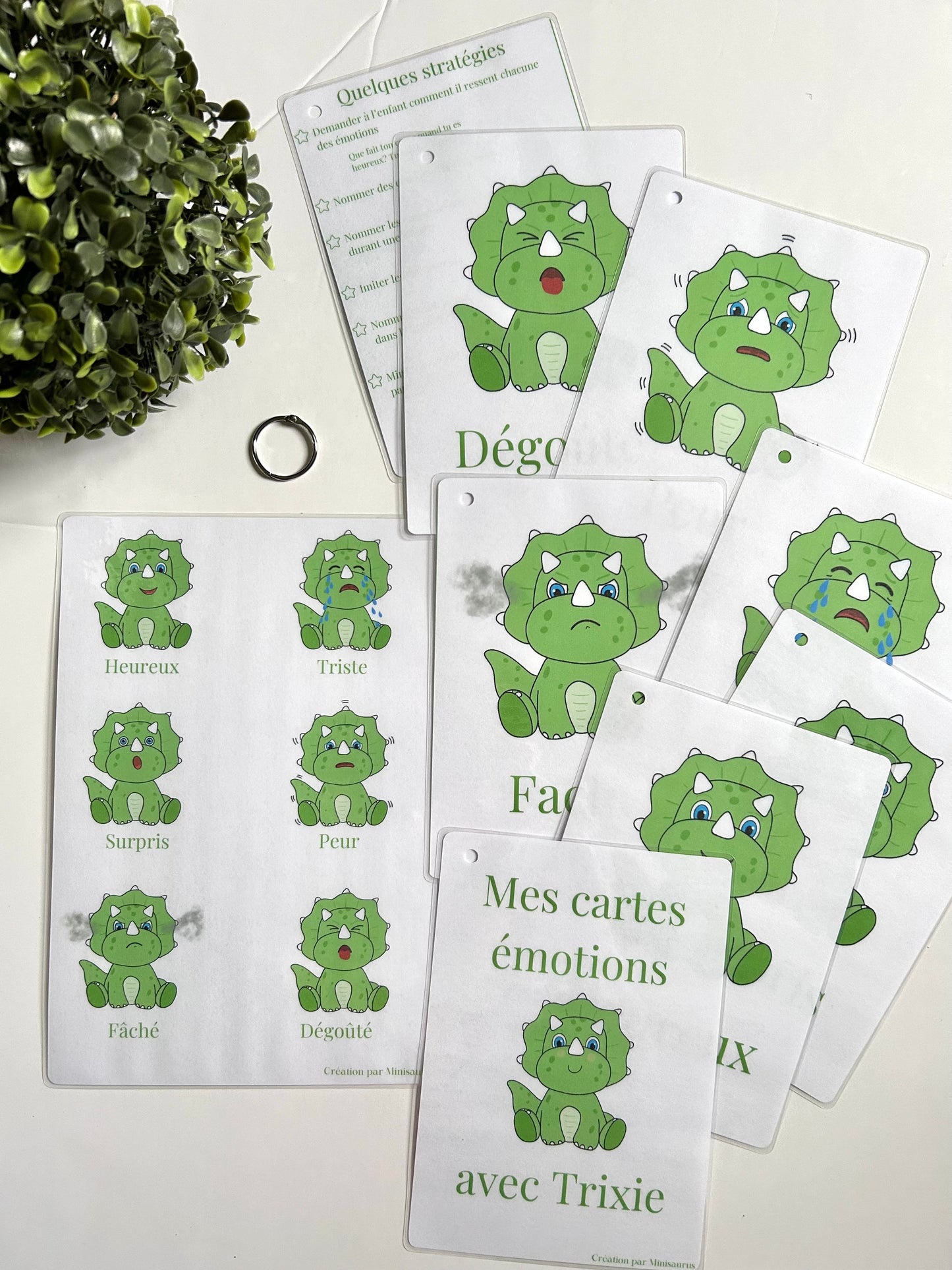 Cartes émotions