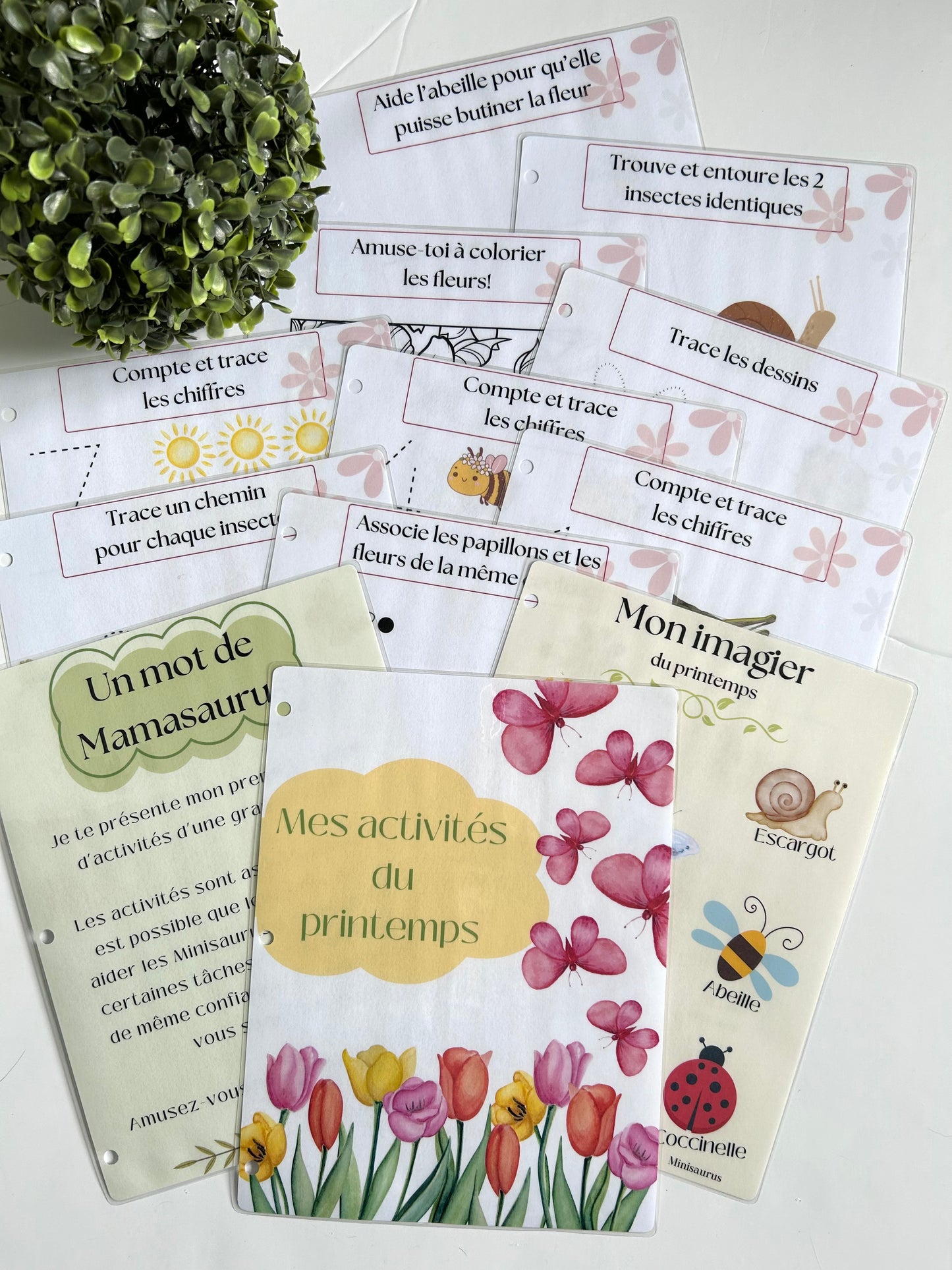 Cahier activités - Printemps