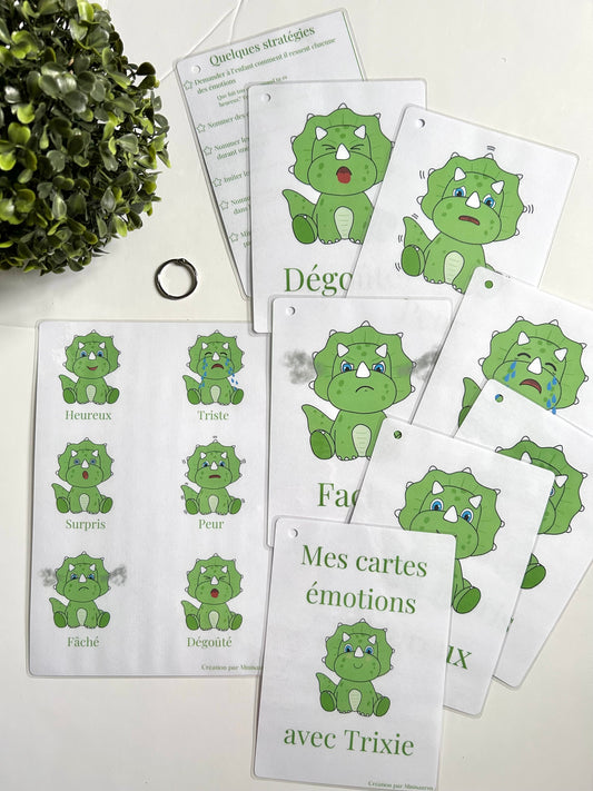 Cartes émotions